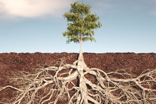 Life Deep Beneath The Soil Dominated by Mysterious New Phylum of Bacteria : ScienceAlert