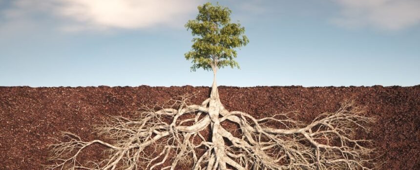 Life Deep Beneath The Soil Dominated by Mysterious New Phylum of Bacteria : ScienceAlert