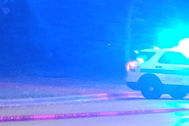 Lincoln Park man may have been murdered during a confrontation with package thieves: source