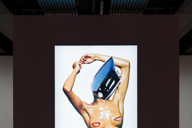 Linder’s Monstrous Pop Cultural Assemblages