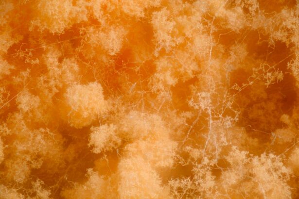 Living material made from fungus could make buildings more sustainable