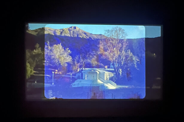 Los Angeles Pays Homage to the Cool Trance of Alice Coltrane 