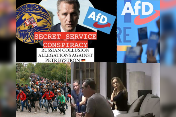 MUST READ: Here are the Three Biggest US-Backed Interferences in Austrian and German Democracy |