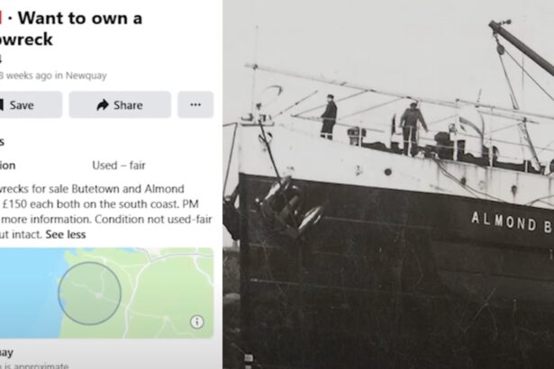 Man buys WWI shipwreck for 0 on Facebook Marketplace