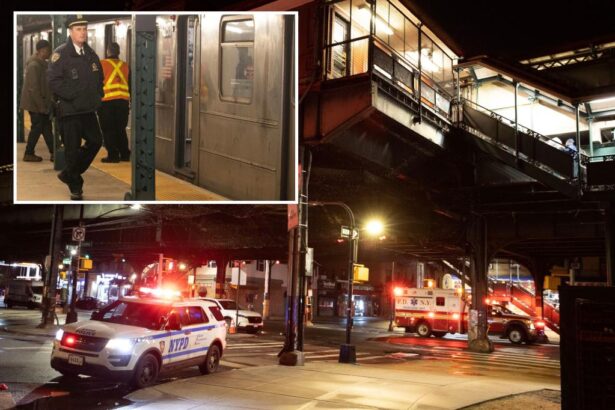 Man found dead on NY subway tracks: cops