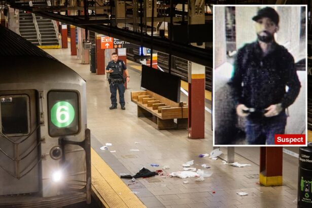 Man stabbed to death in NYC subway station during rush-hour scuffle