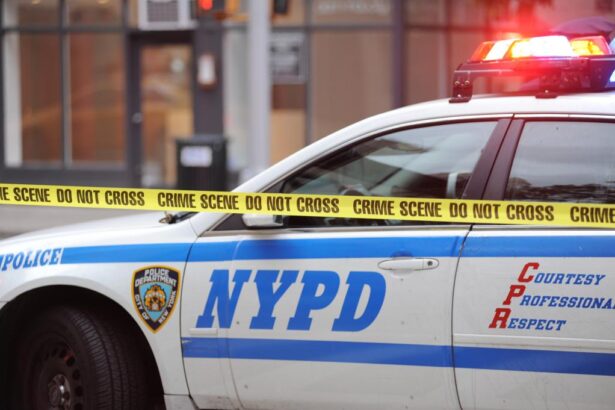 Maniac stabs stranger in the head repeatedly on NYC street for measly : sources