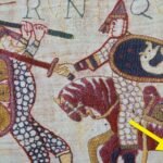 Medieval tapestry’s penis count remains a bone of contention