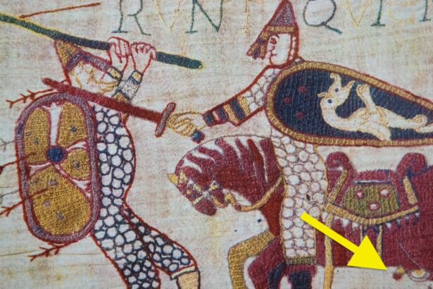 Medieval tapestry’s penis count remains a bone of contention