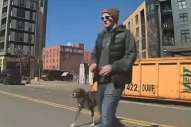 Member of Tim Walz Administration Arrested in Minnesota After Keying a Tesla While Walking His Dog (VIDEO) |