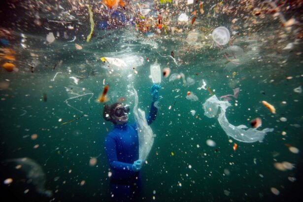 Microplastics could be hampering the ocean’s ability to capture carbon