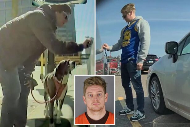 Minnesota state employee Dylan Bryan Adams let off by woke DA for alleged Teslas damage