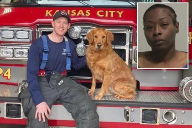 Missouri firefighter paramedic dies after being stabbed in ambulance by patient: ‘Unfathomable crime’