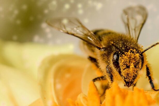 Most Bees Nest in The Ground. Offering Rocks And Gravel Is a Simple Way to Help Them Thrive. : ScienceAlert