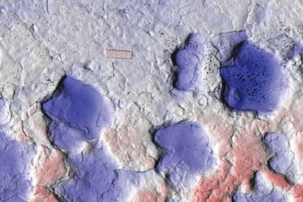 Mysterious 3-Toed Footprints in Canada Reveal New Ankylosaur Species : ScienceAlert