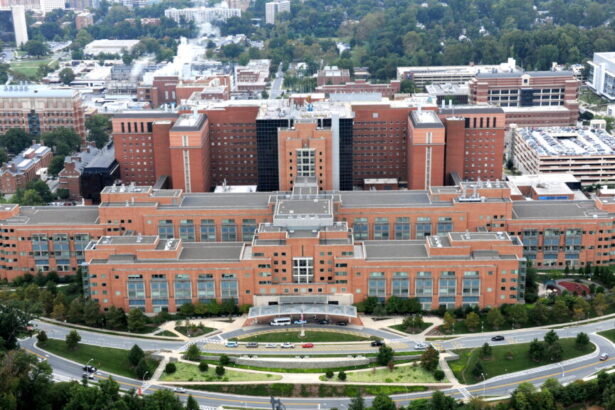 NIH research grant restrictions, a ban on more food dyes