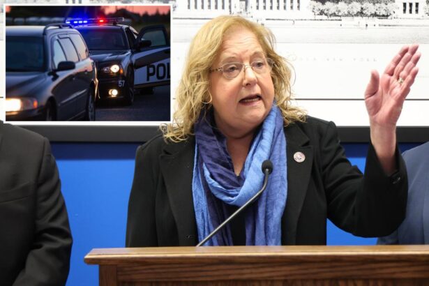 NY bill would ban cops from routine traffic stops like the one that nabbed a serial killer: ‘Most dangerous’ ever