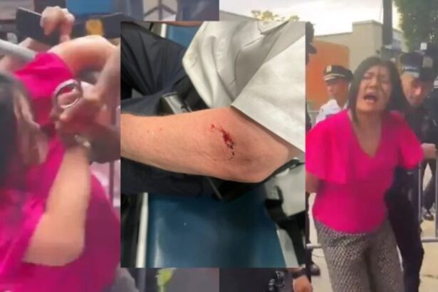 NYPD Chief Files Lawsuit Against NYC Councilwoman Who BIT HIM During Protest (VIDEO) |