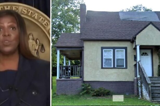 New in the Letitia Files: Did New York AG Letitia James Commit Insurance Fraud, Too? It Looks Like It |