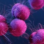 Newly Discovered Antibiotic Could Fight One of The Nastiest Superbugs : ScienceAlert