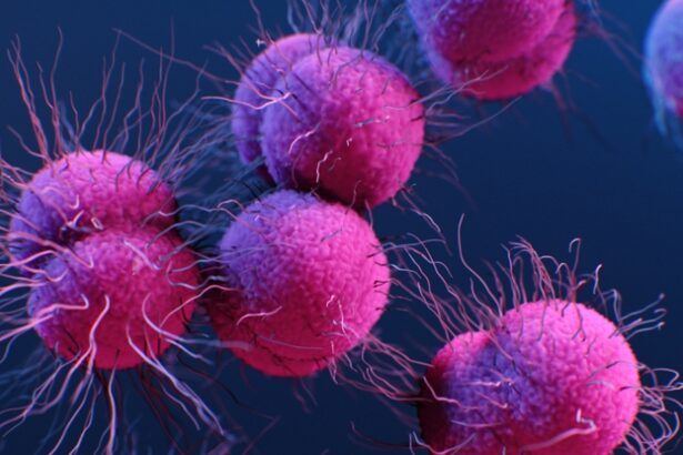 Newly Discovered Antibiotic Could Fight One of The Nastiest Superbugs : ScienceAlert