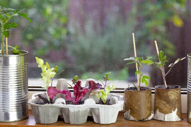 No-Fuss Repurposing Hacks Using Everyday Discards