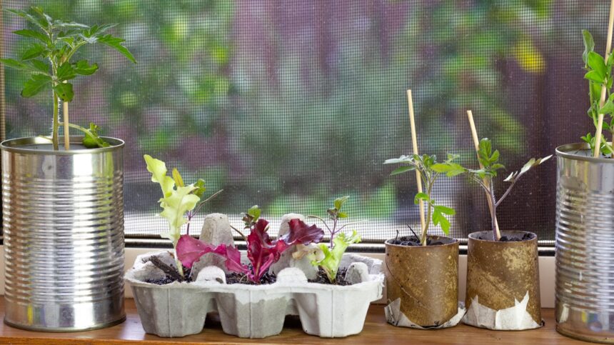 No-Fuss Repurposing Hacks Using Everyday Discards