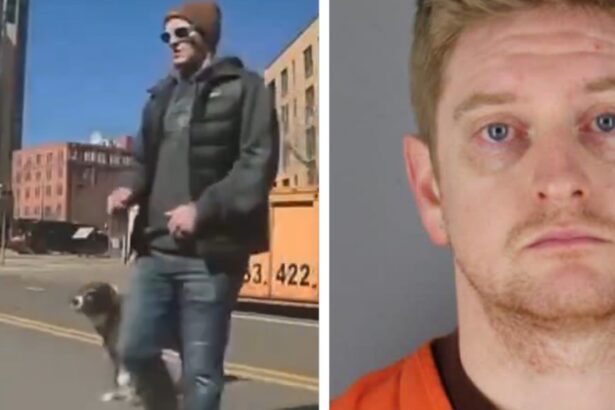 OUTRAGEOUS: Soros-Backed County Attorney Says Member of Tim Walz Administration Won’t Face Criminal Charges For Vandalizing at Least 6 Teslas – Police Blast Decision! |