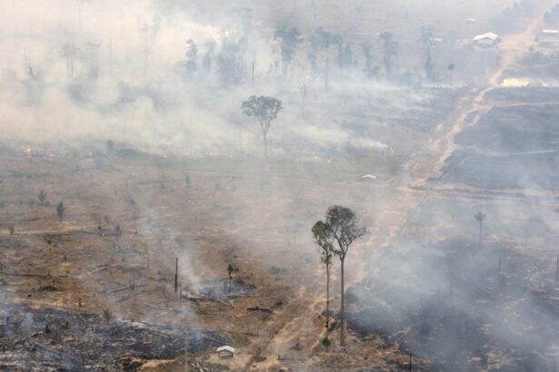 Paved with good intentions?