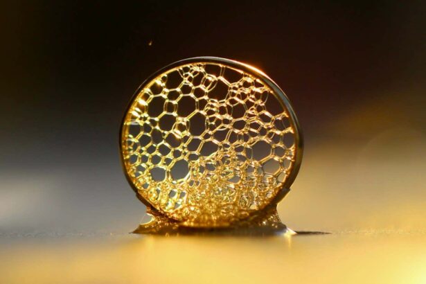 Photography contest spotlights the beauty of science in vivid detail