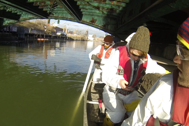 Pollution-eating microbes are thriving in infamous NYC canal