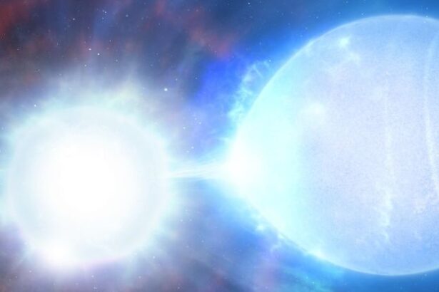 Rare Star Doomed to Explode Finally Confirms Astronomical Prediction : ScienceAlert