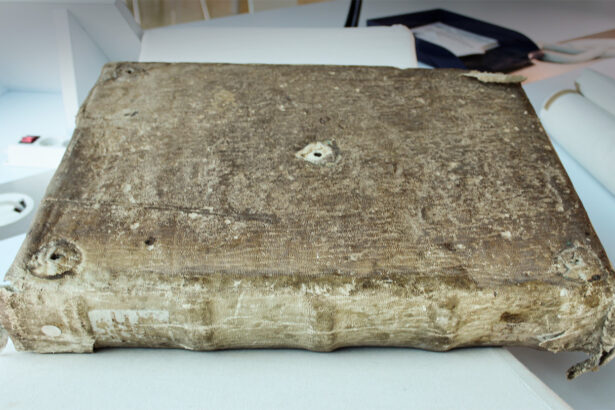 Rare books covered with seal skin hint at a medieval trade network