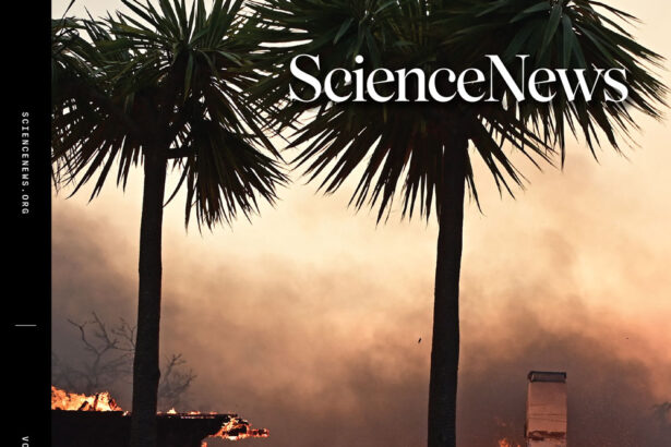 Readers weigh in on brainlike AI technology