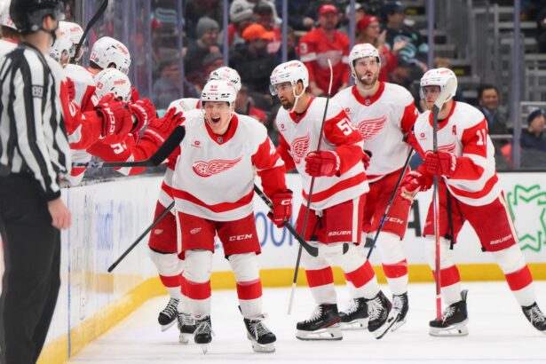 Red Wings lineup tonight: Detroit’s projected lineup for game against the Tampa Bay Lightning