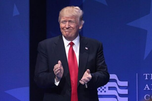 Republican House Makes Trump Tax Cuts Permanent