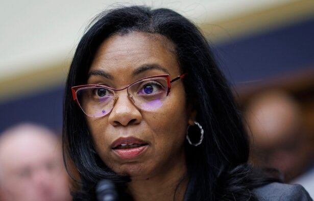 Republicans plan to scrap US audit regulator