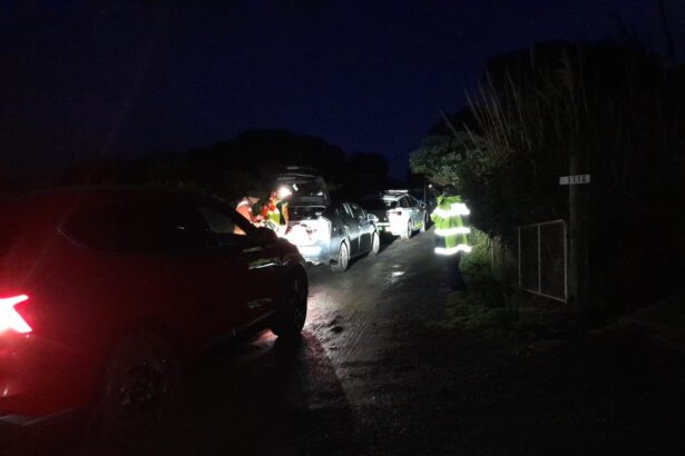 Rescue underway as person trapped on Dunedin cliff