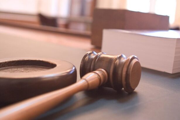 Romania’s High Court Crushes Last-Ditch Effort to Save Overthrown Election, Ensuring Globalist-Backed Re-Run |