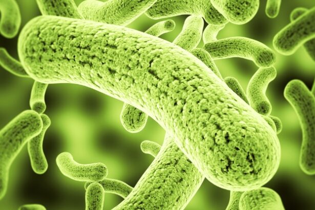 Scientists Engineer Bacteria to Make Soil And Crops ‘Glow’ Different Colors : ScienceAlert