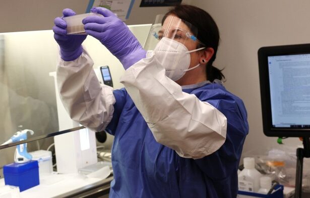 Scientists urge Trump administration to fight threat of bird flu pandemic