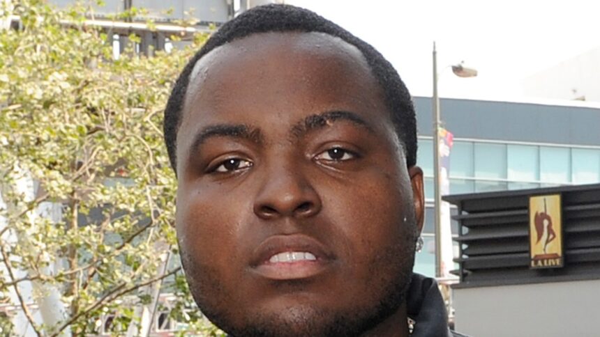 Sean Kingston Posts 0K Bond, Released After Brief Time in Miami Custody