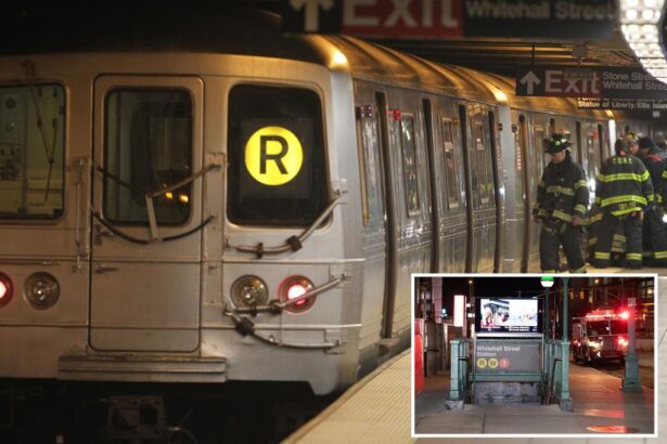 Sicko sought for allegedly sexually abusing corpse on NYC subway: sources