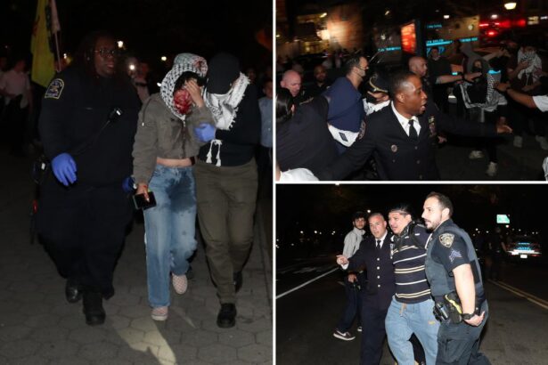 Six arrested after anti-Israel protesters clash with Hasidic Jews outside Brooklyn synagogue where Israeli official was visiting