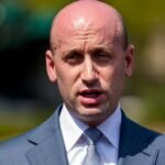 Stephen Miller Tells Fox News To Fire Its Pollster In Icy Live TV Moment