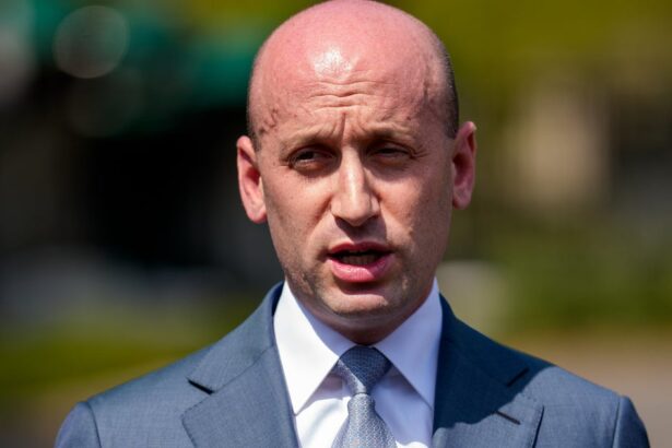 Stephen Miller Tells Fox News To Fire Its Pollster In Icy Live TV Moment