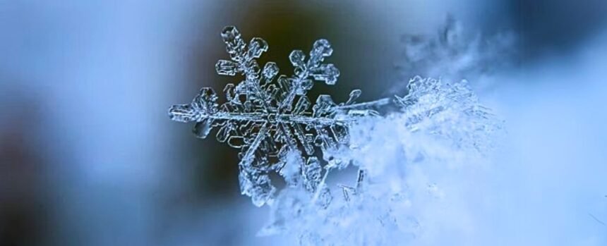 Study of 616 Languages Identified Which Had Most Words For ‘Snow’ : ScienceAlert