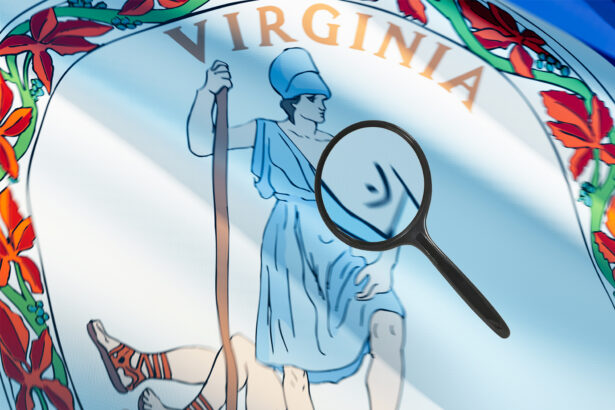 Texas Schools Ban Lesson Over Exposed Nipple on Virginia Flag 