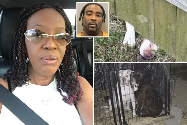 Texas man charged after 3 pit bulls fatally maul neighbor