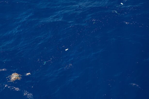 The Great Pacific Garbage Patch isn’t a just a floating trash pile